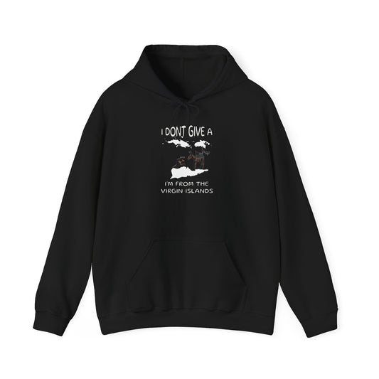 DTF Printed Hoodie