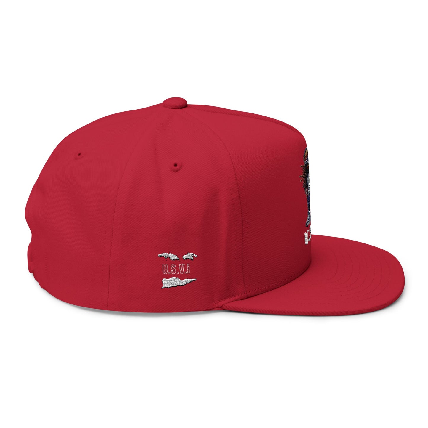 Embroidered Flat Bill Cap with VI Bear Design